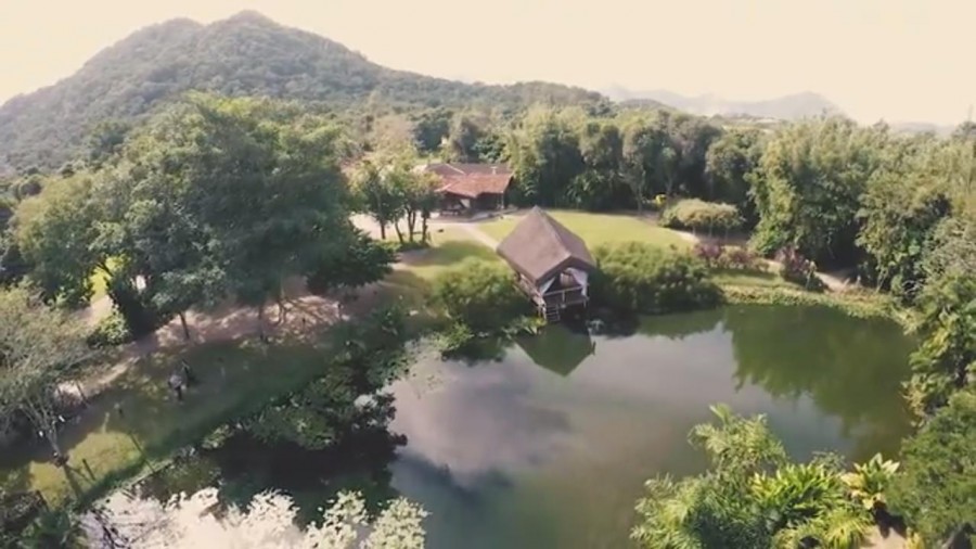 Meio do Mato Eventos Lápis de Noiva