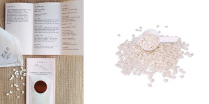 capa post: grfdvgtrefdsgerfds