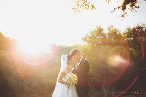 capa post: 18elementos294