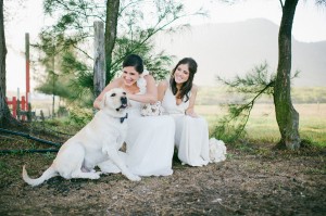 capa post: julore 1anolapisdenoiva thekreulichs047