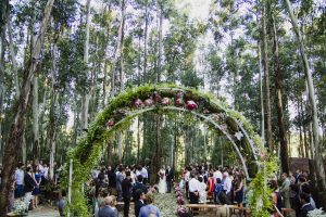 capa post: Estúdio Delfi 309