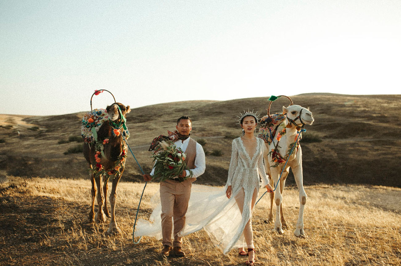noivos caminhando ao lado de camelos em cerimônia destination wedding