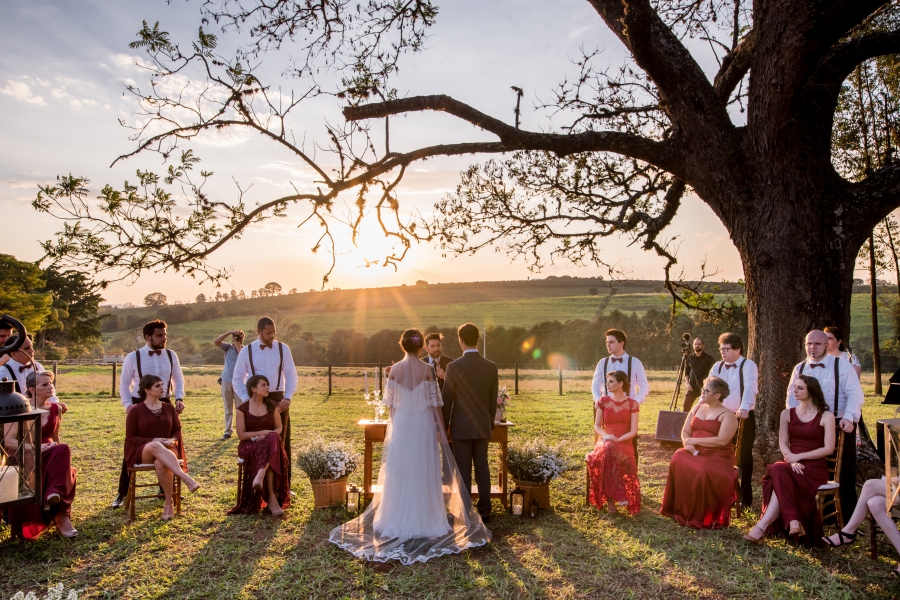 casamento embaixo de árvore