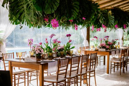 capa post: decoração de flores plantadas