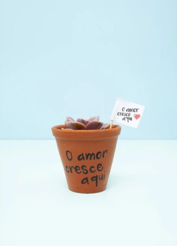 capa post: icasei shop