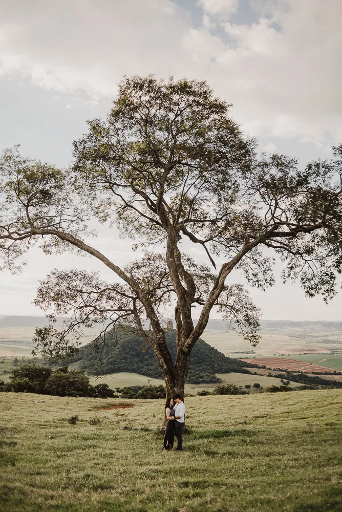 noivos em frente a arvore no campo em bodas de trigo