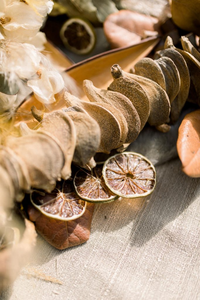  editorial-o-amor-é-sustentável (3)