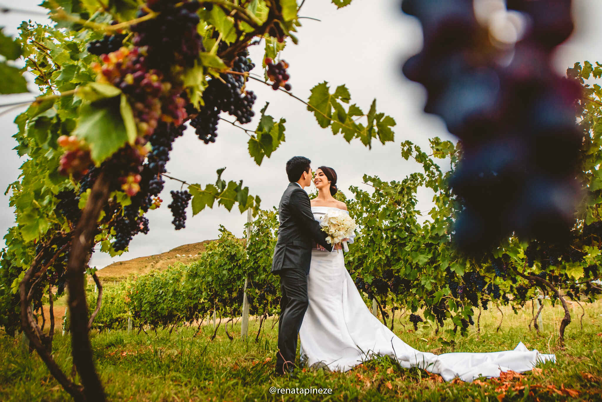 Noivos abraçados em plantação de uva