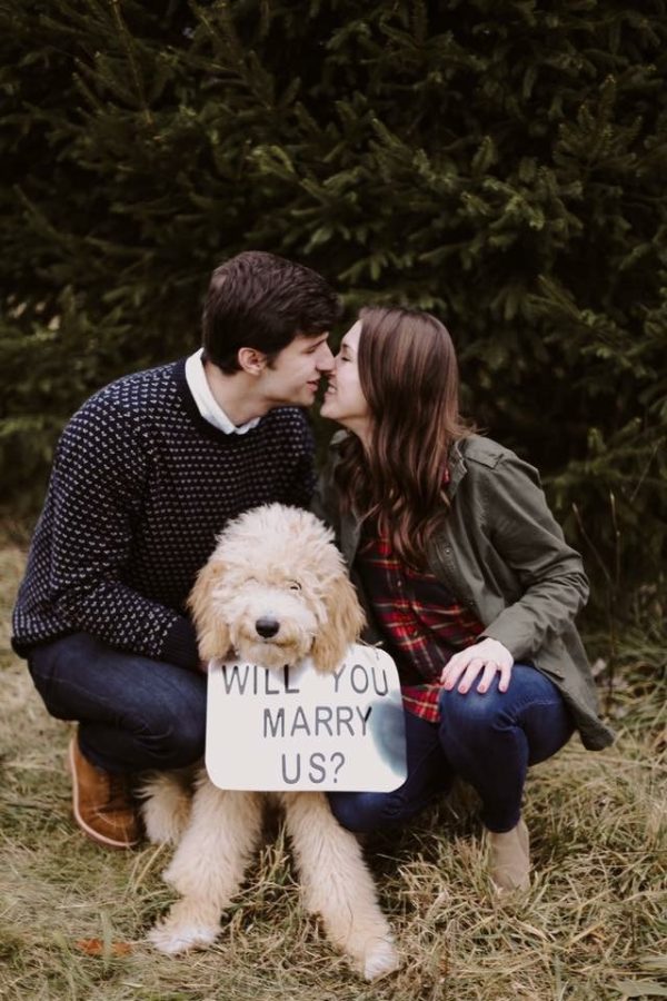 noivos se beijando enquanto cachorro peludo branco segura plaquinha escrito will you marry me