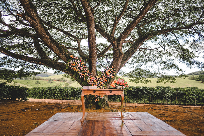 Casamento colorido no campo com cerimônia sob a árvore no Espírito Santo &#8211; Karla &#038; Gustavo