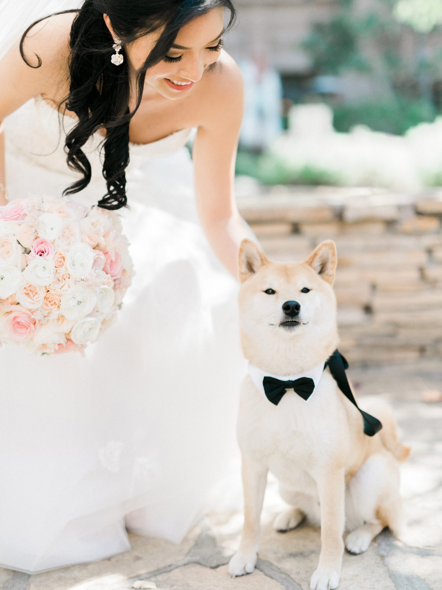 cachorro em casamento com a noiva