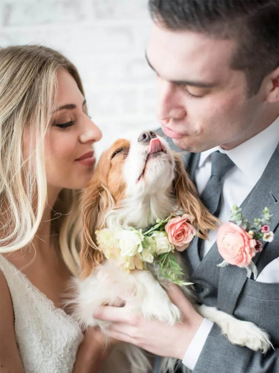  noivos com cachorro em casamento