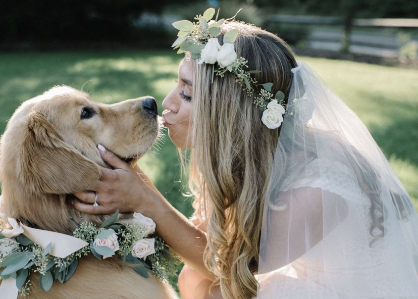 Cachorro em casamento: como inserir seu pet no grande dia