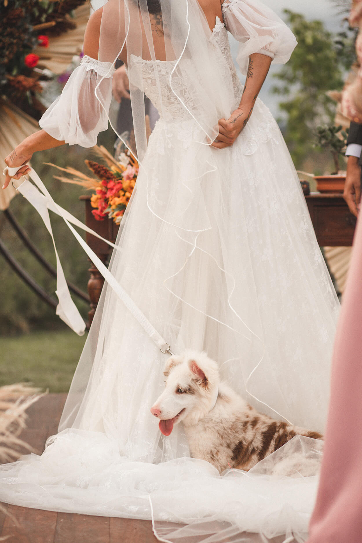 Cachorro sentado no vestido da noiva