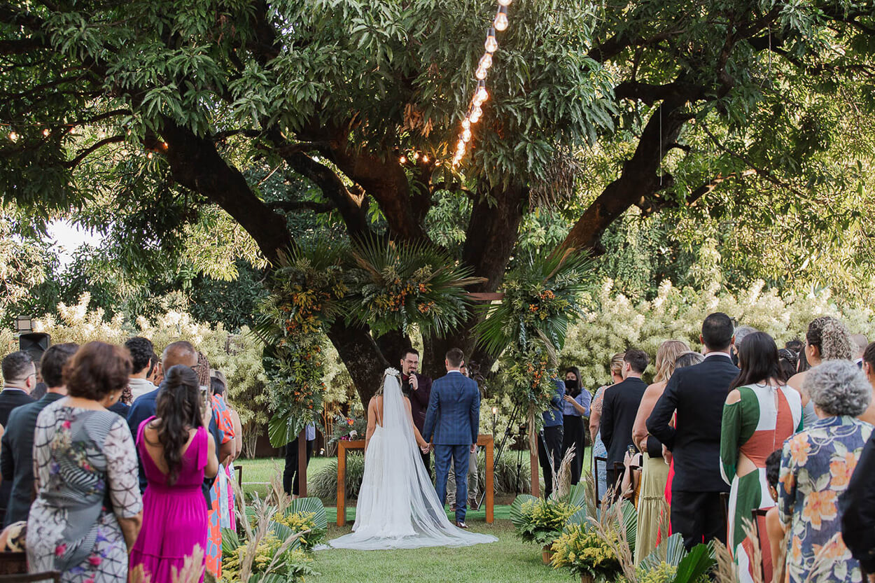 Noivos se casando debaixo de grande árvore no campo