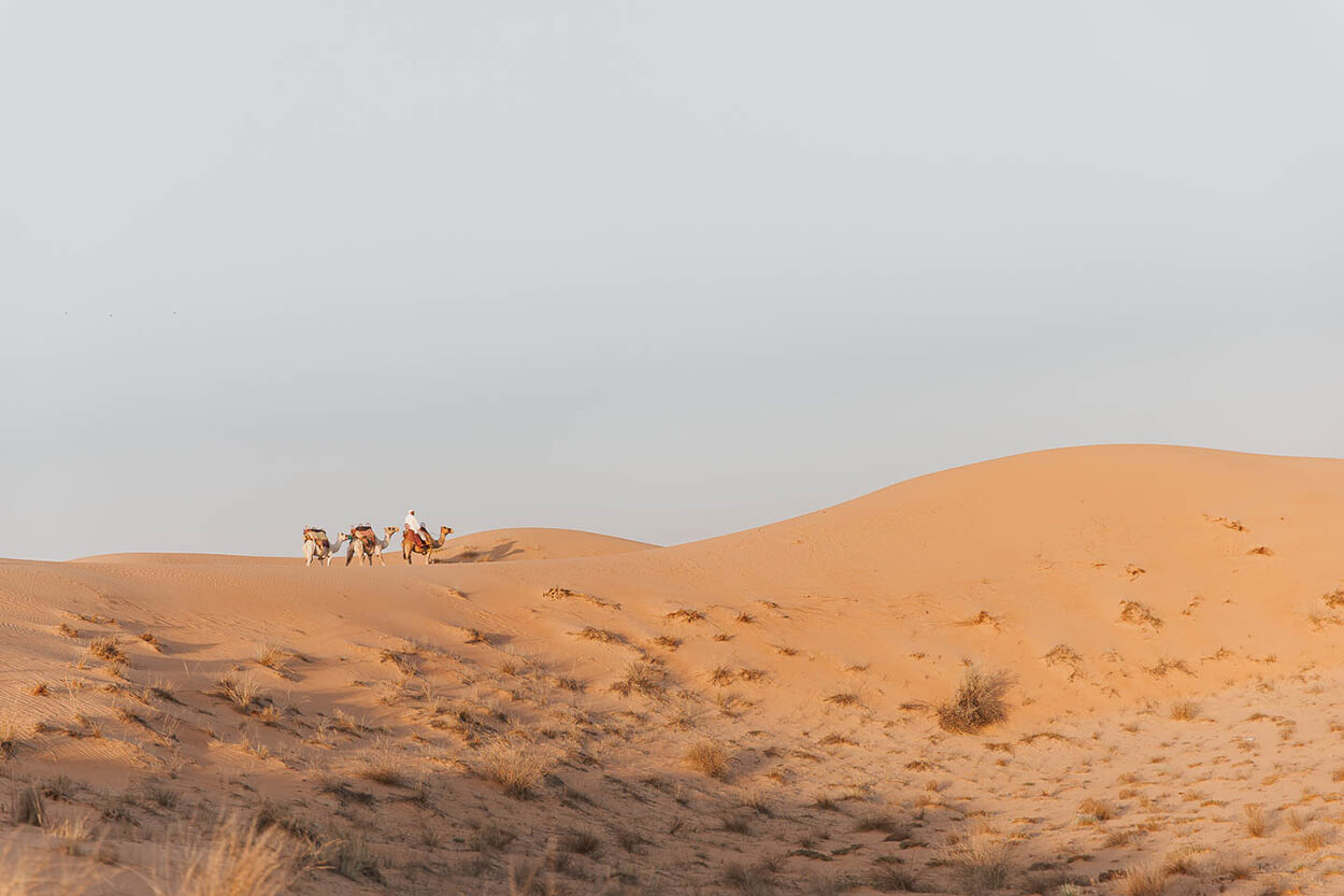 Foto ao longe de duna no deserto e homem andando com camelos