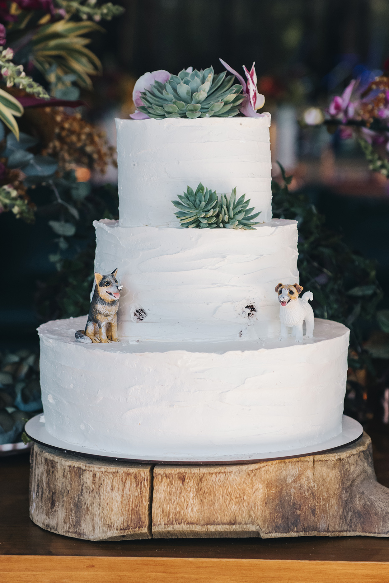 Bolo de casamento branco com três andares, duas miniaturas e cachorrinhos e suculentas