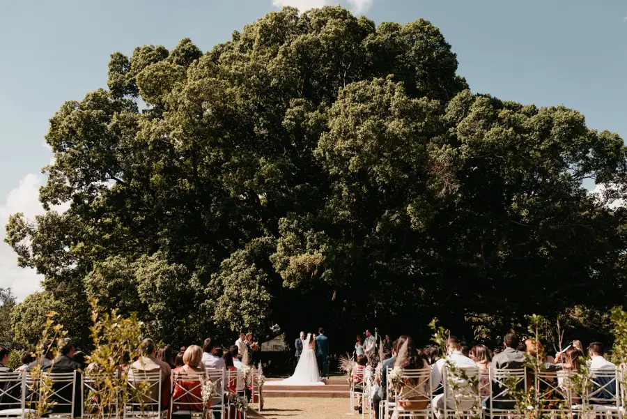 cerimônia de casamento ao ar livre embaixo da figueira na villa ásolo