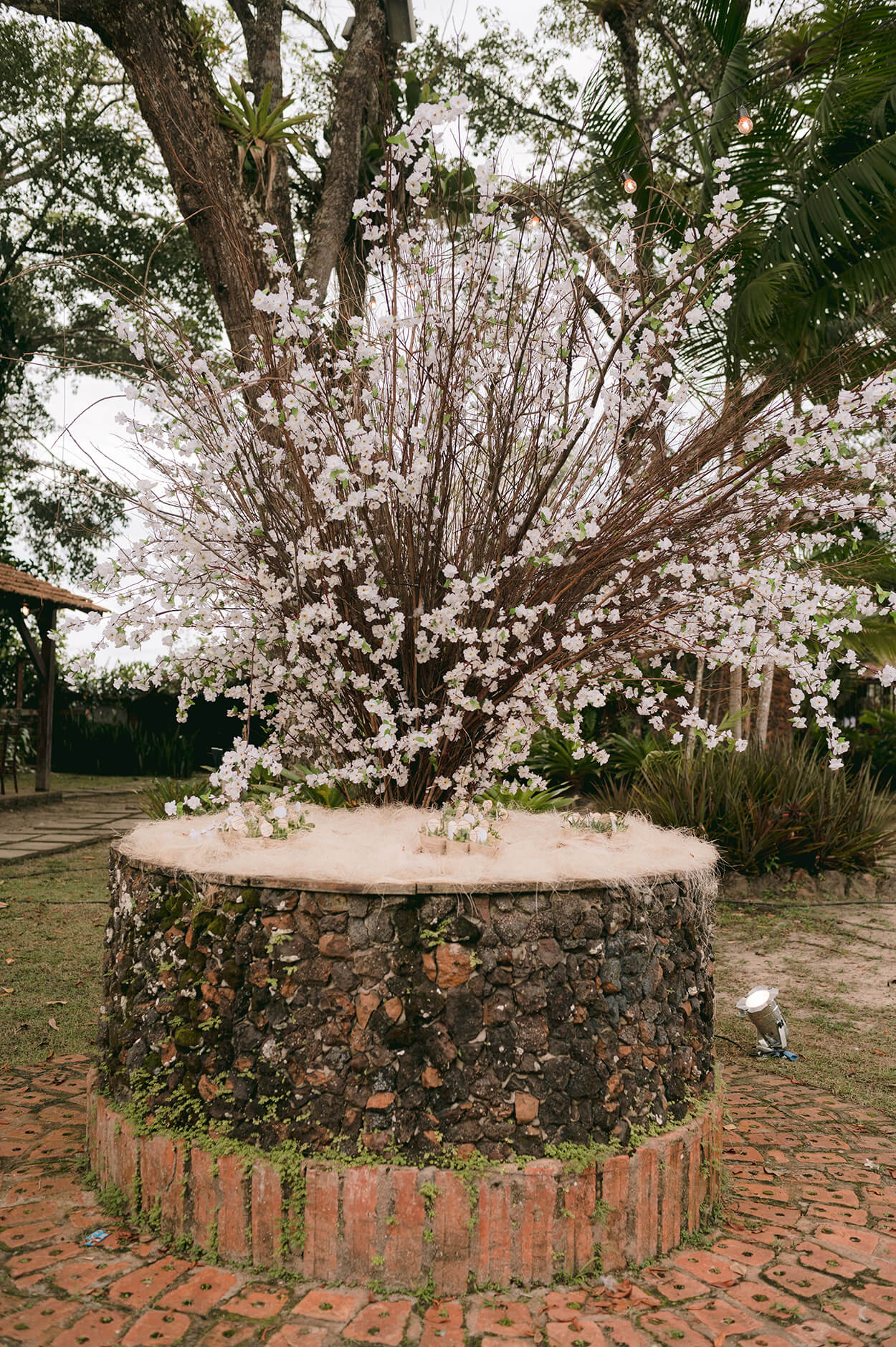 Mesa feita com troco de árvore e árvore cheia de flores brancas ao fundo