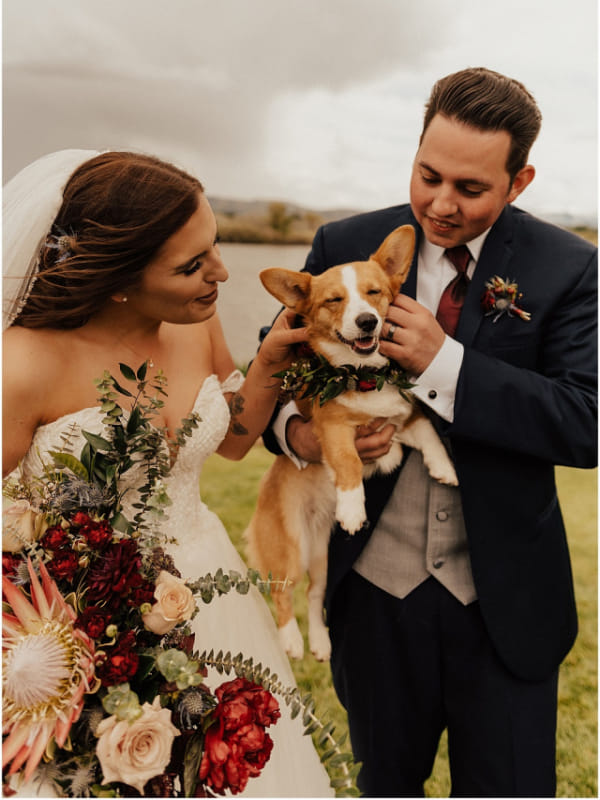 capa post: pets-casamento
