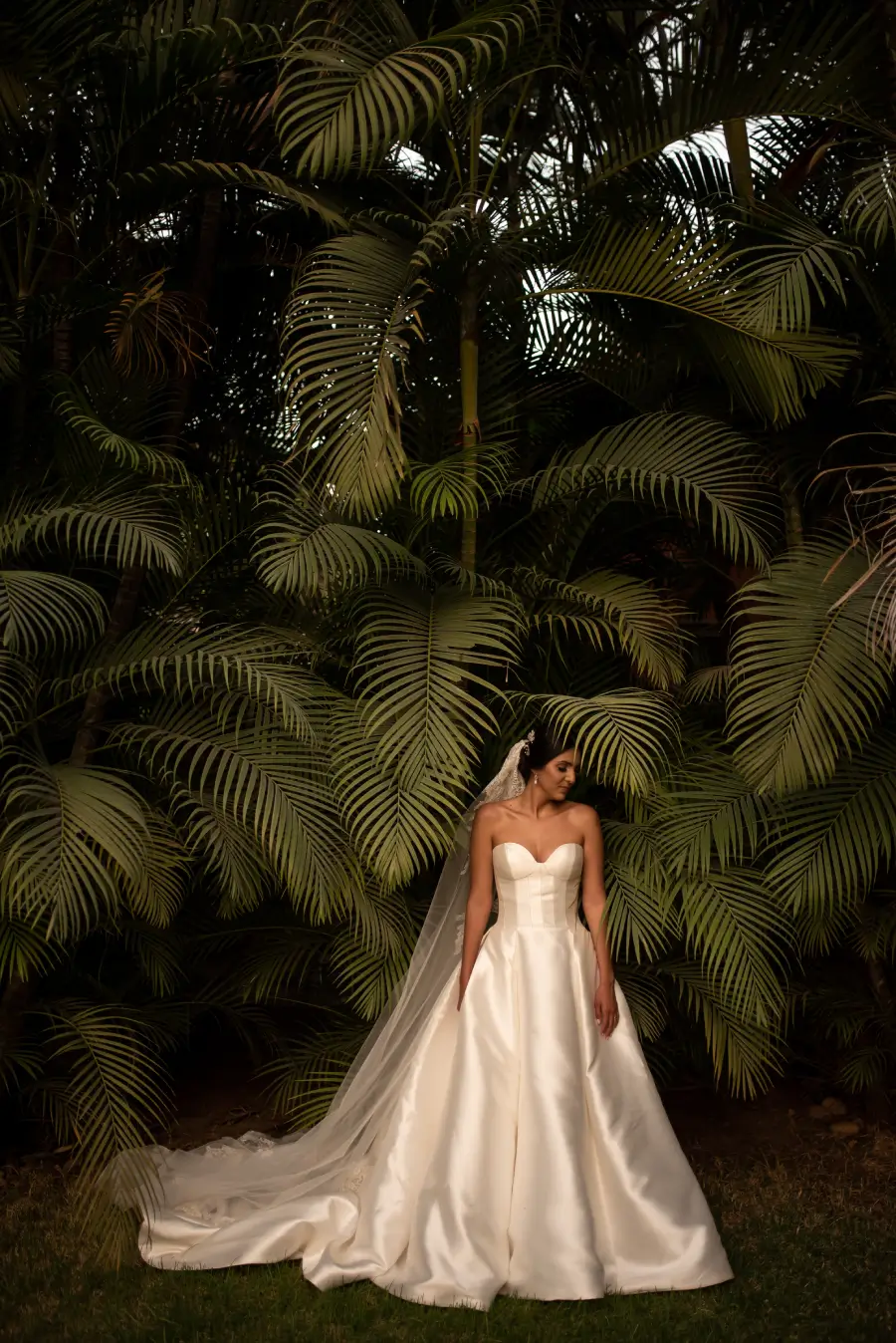 noiva com vestido tomara que caia e véu em frente a folhagens. Foto por Guia Soares Fotografia