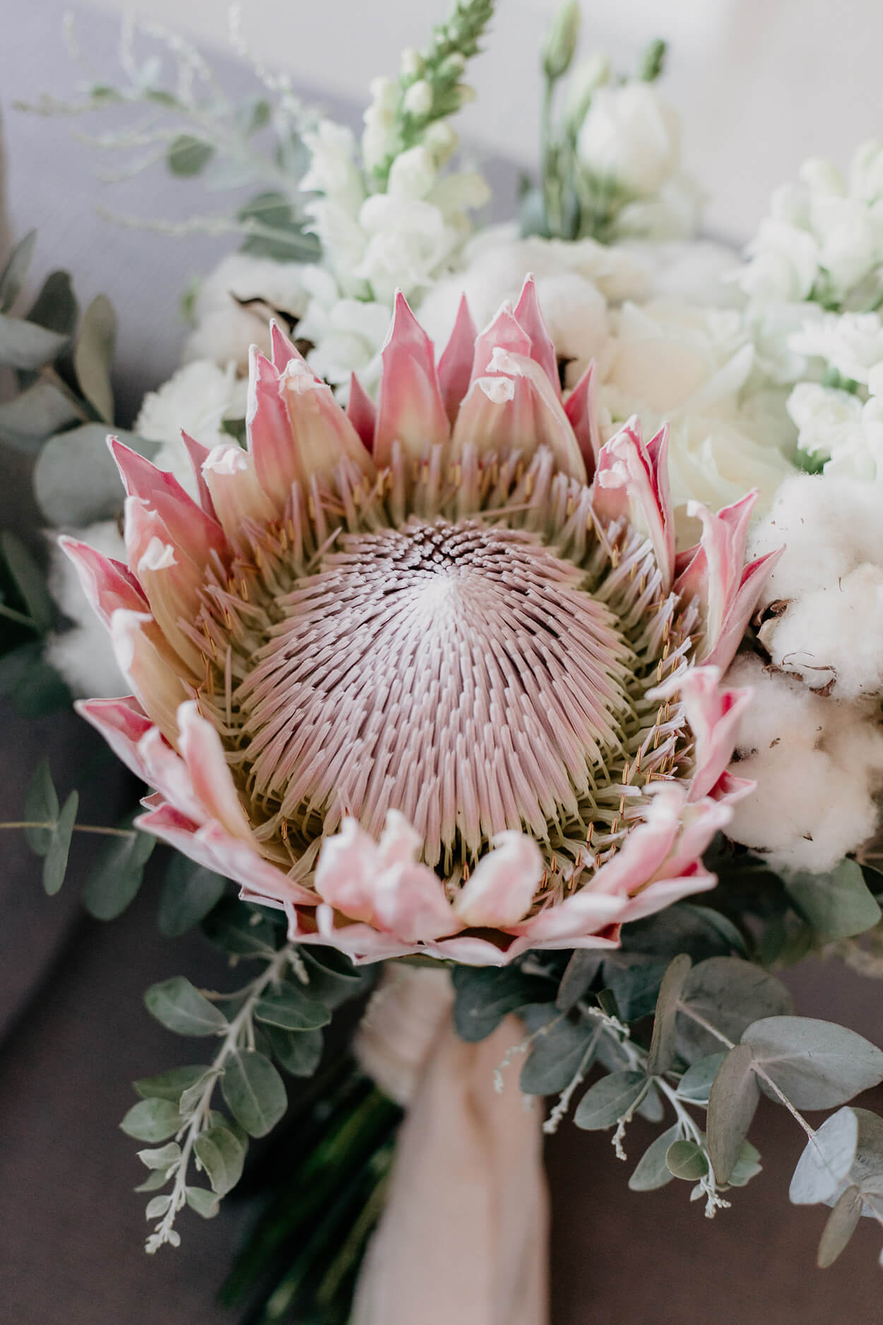 buquê com flores de algodão e protea