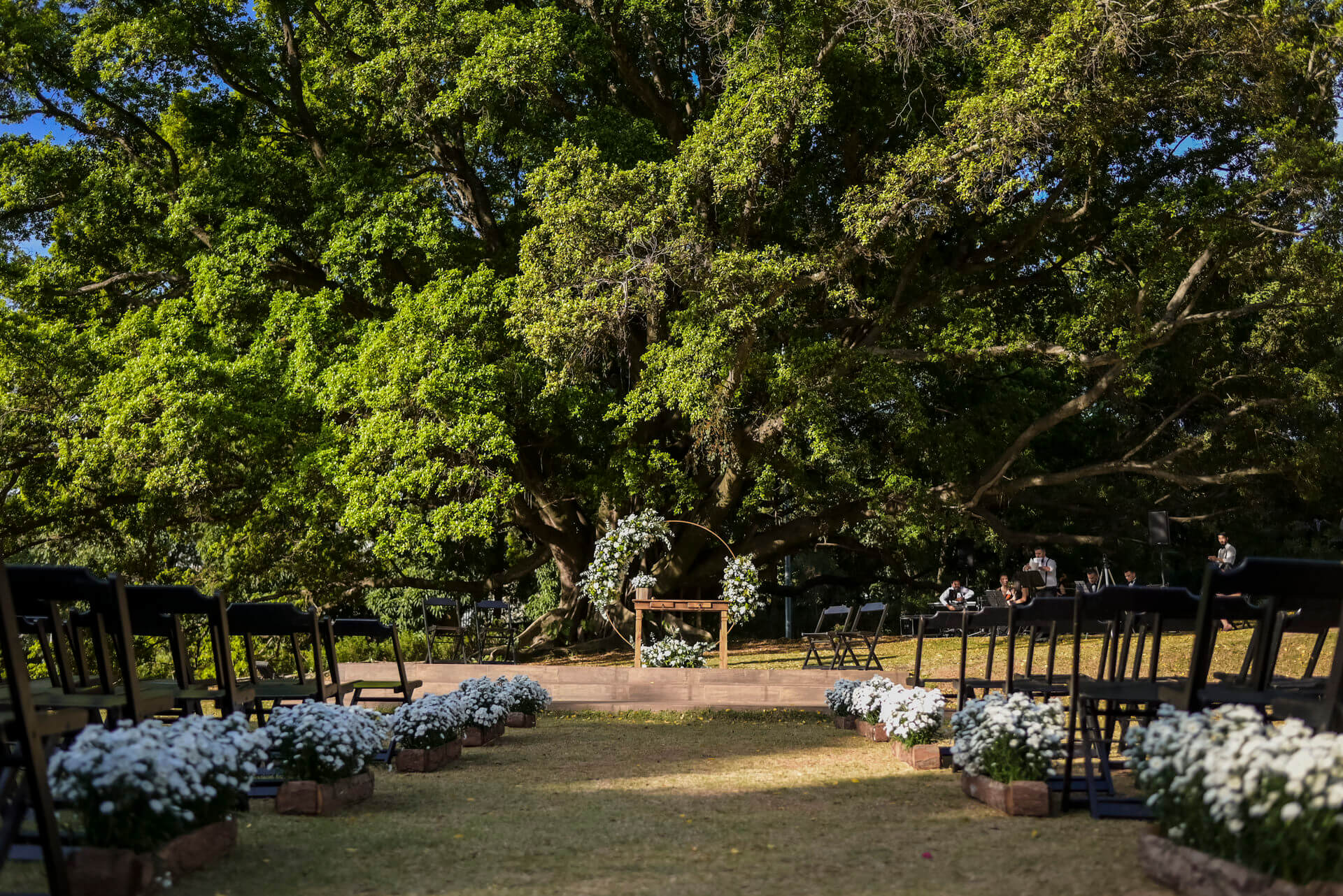 cadeiras com flores brancas e altar debaixo de árvore antiga