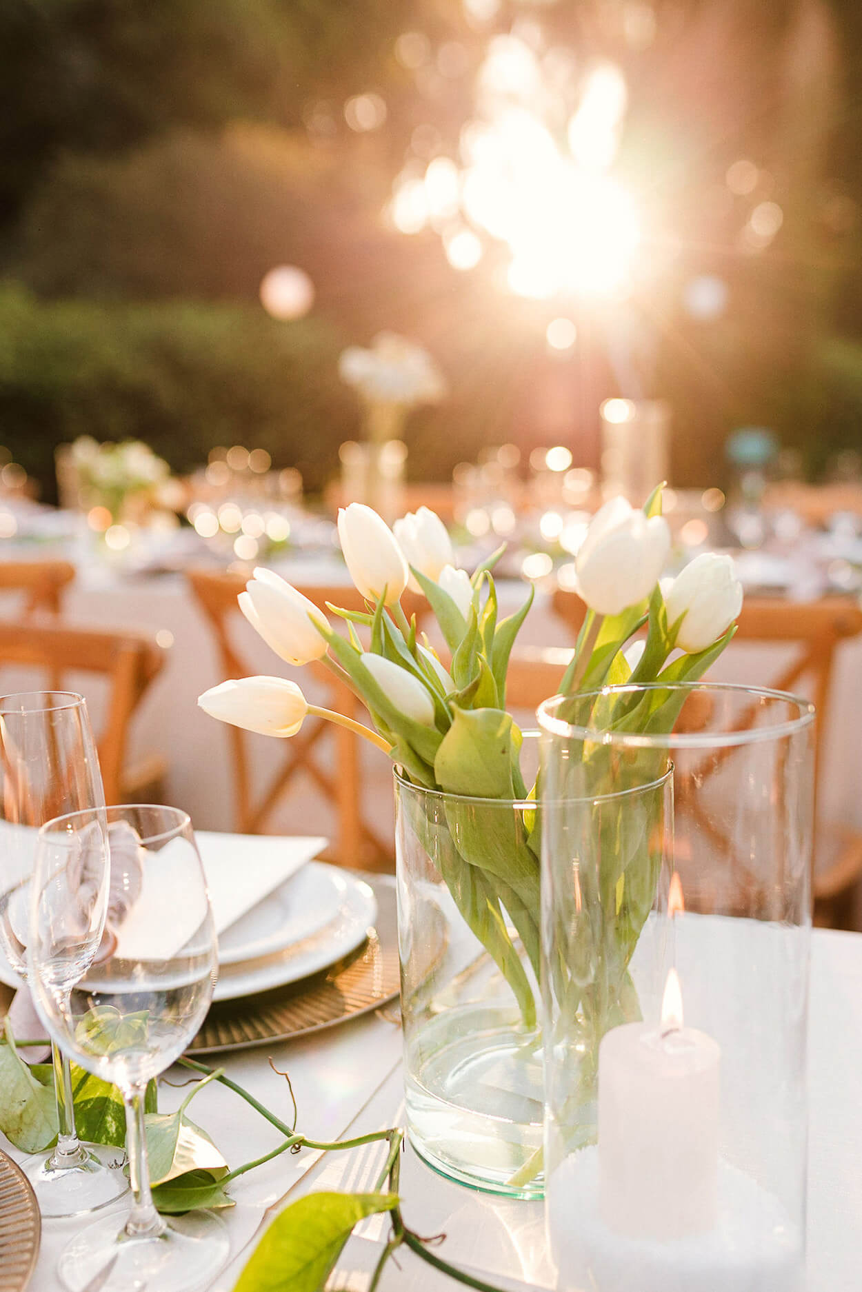 mesa decorada com vaso de vidro com tulipas brancas
