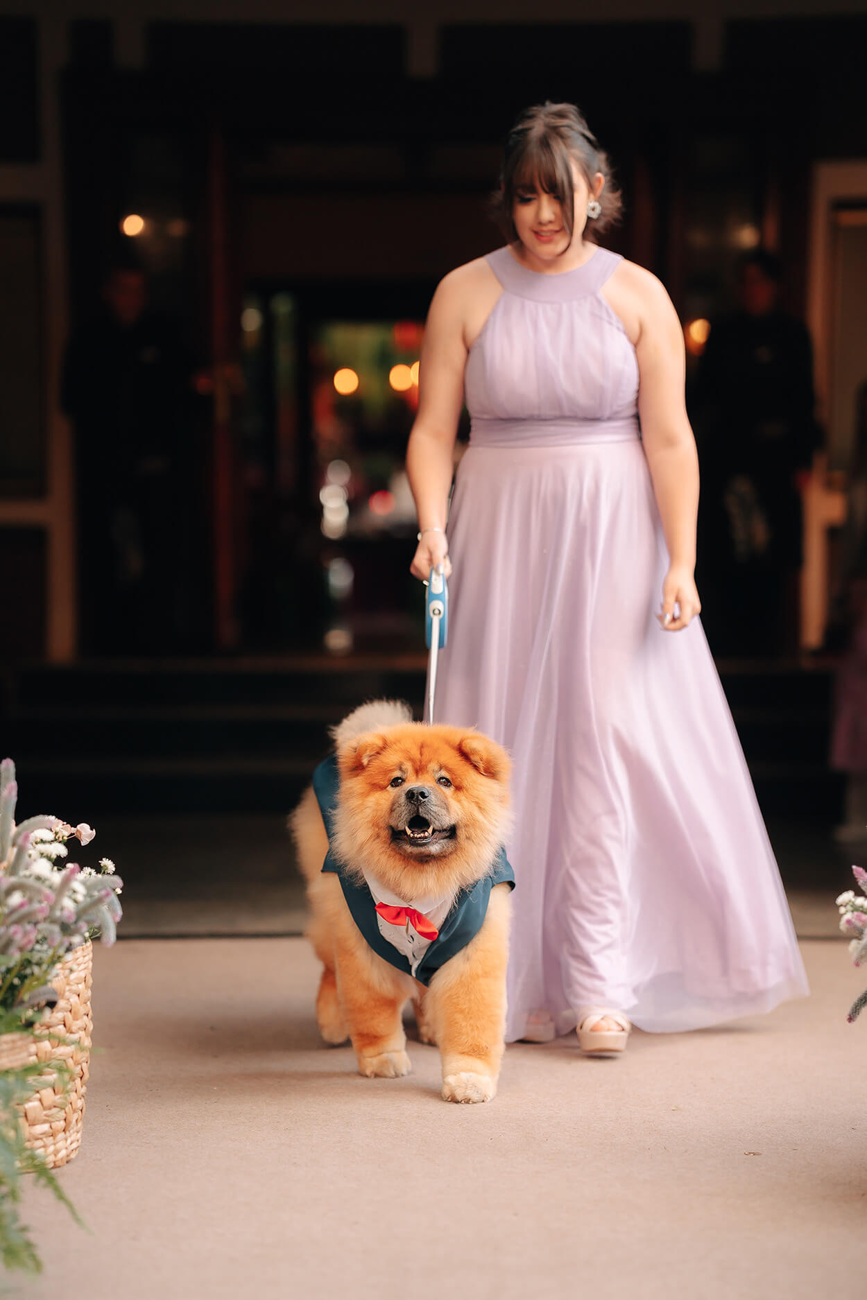 madrinha com vetsido lilás levando cachorro chowchow com roupinha até o altar