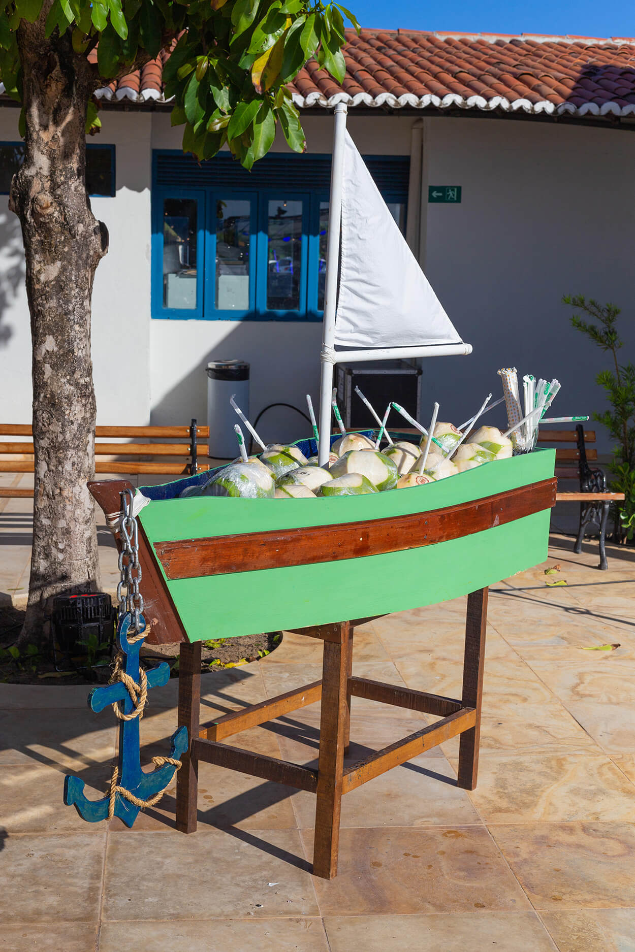 barco de madeira com cocos verdes