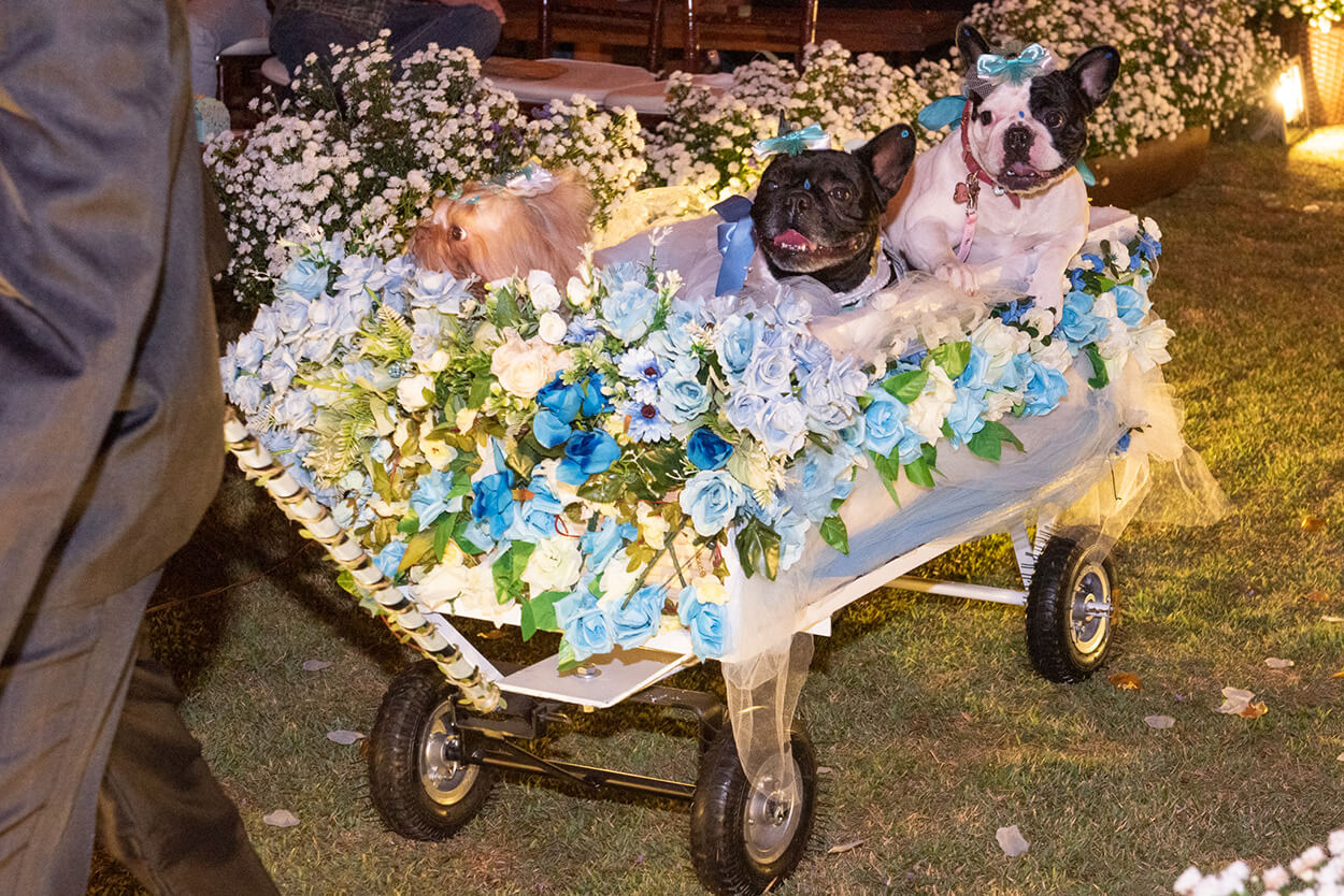 entrada de carrinho com cachorros com flores