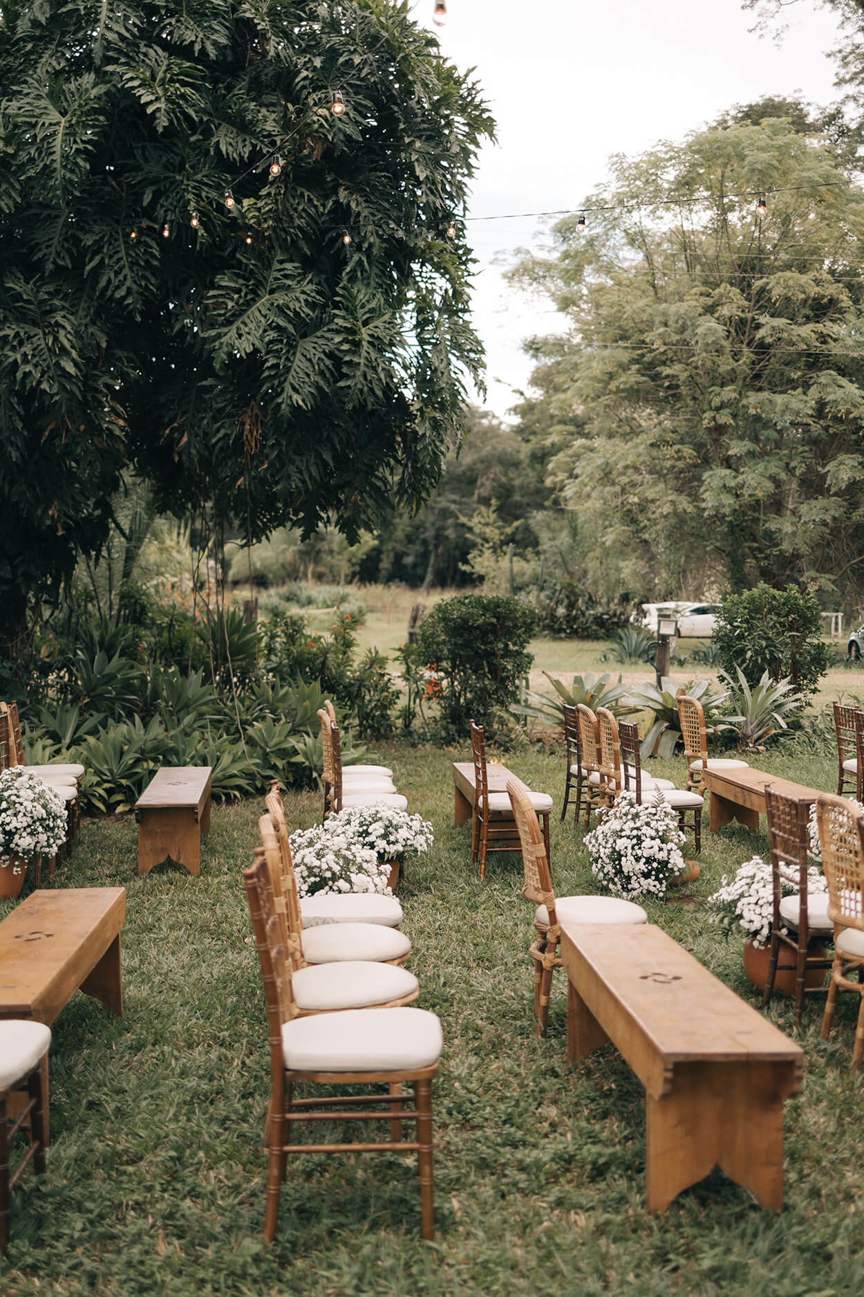 cadeiras tiffany e bancos de madeira com flores brancas no jardim