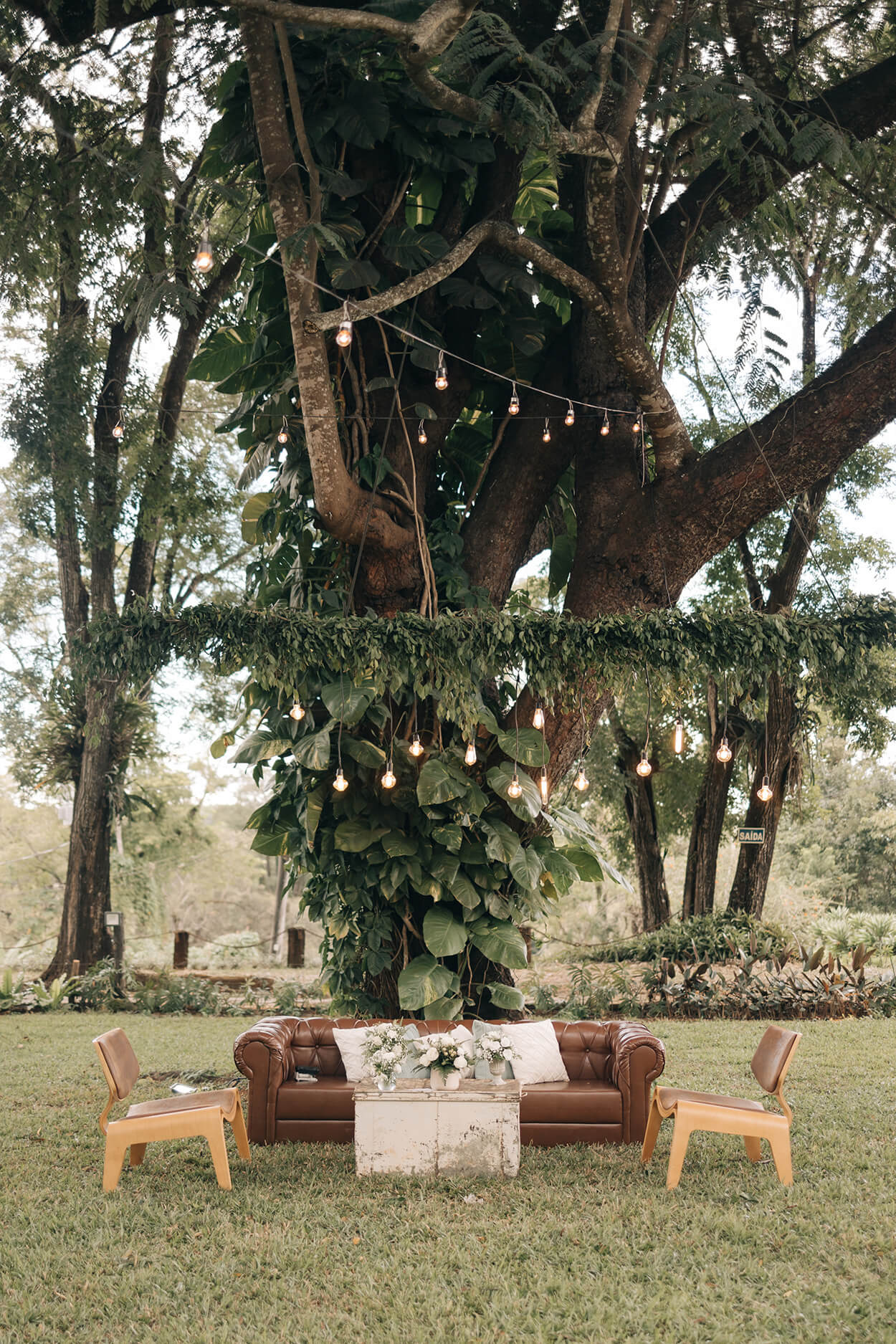 lounge com sofá marrom e cadeiras no jardim debaiox da árvore