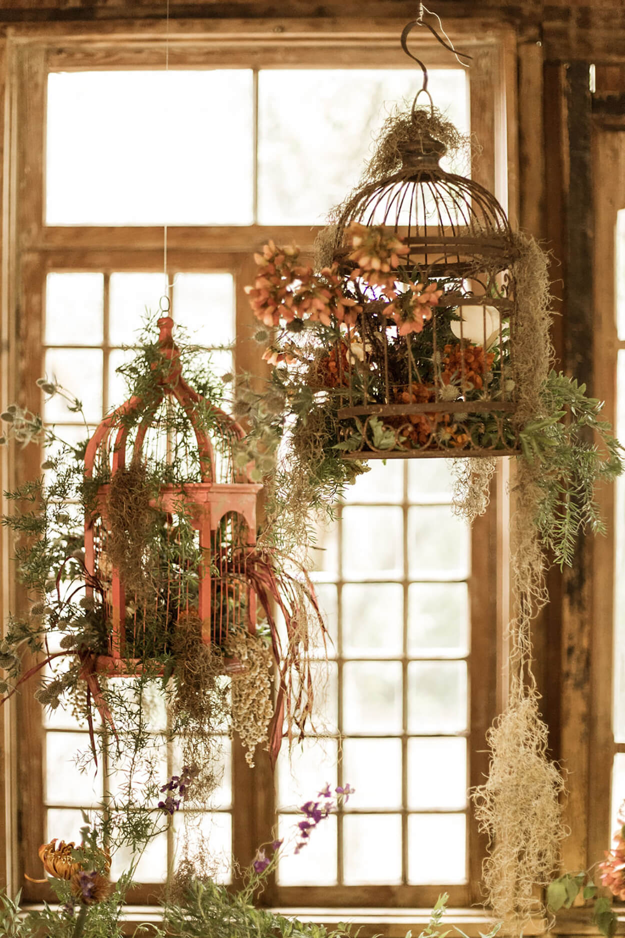 gaiolas decorativas com plantas