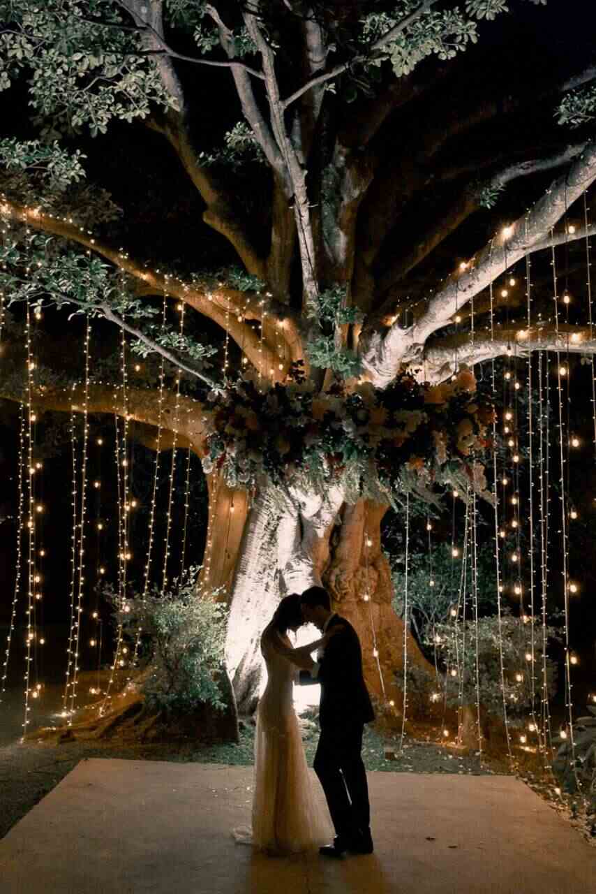 noivos abraçados em frente a grande árvore antiga toda decorada com luzinhas pendentes à noite