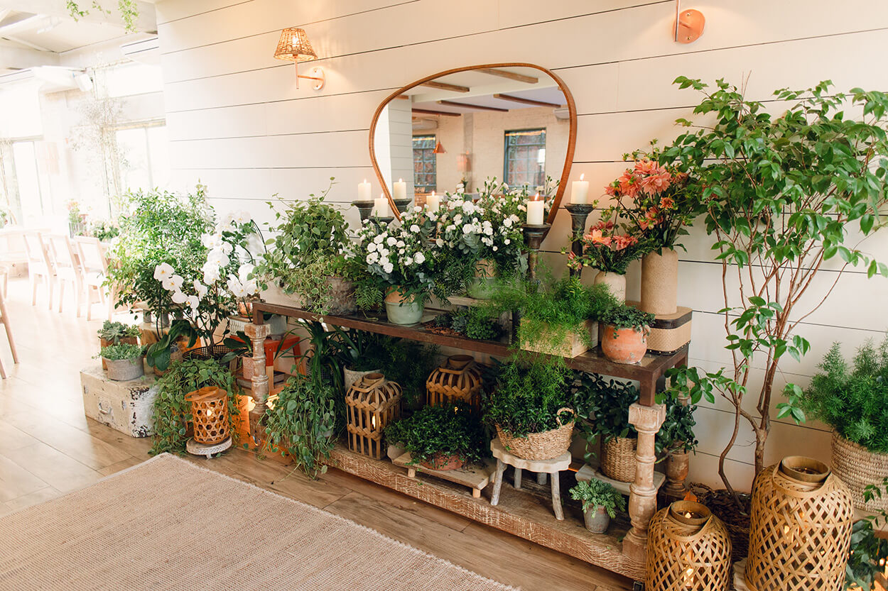 mesa de madeira com vários vasos com plantas e espelho organico
