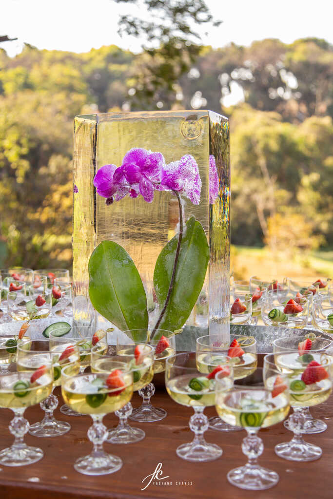 orquidea roxa dentro de cubo de gelo decorando o centro de mesa e copos com bebidas com frutas