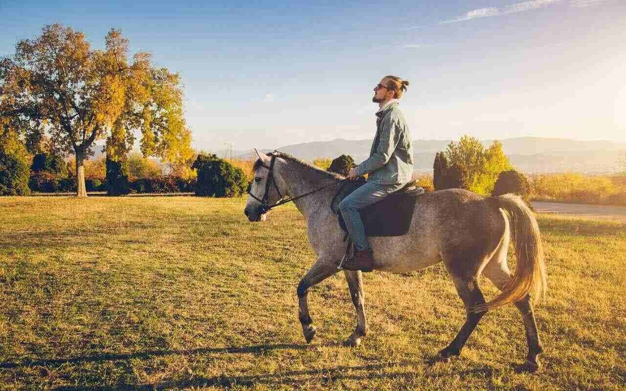 homem andando a cavalo no campo durante pôr do sol