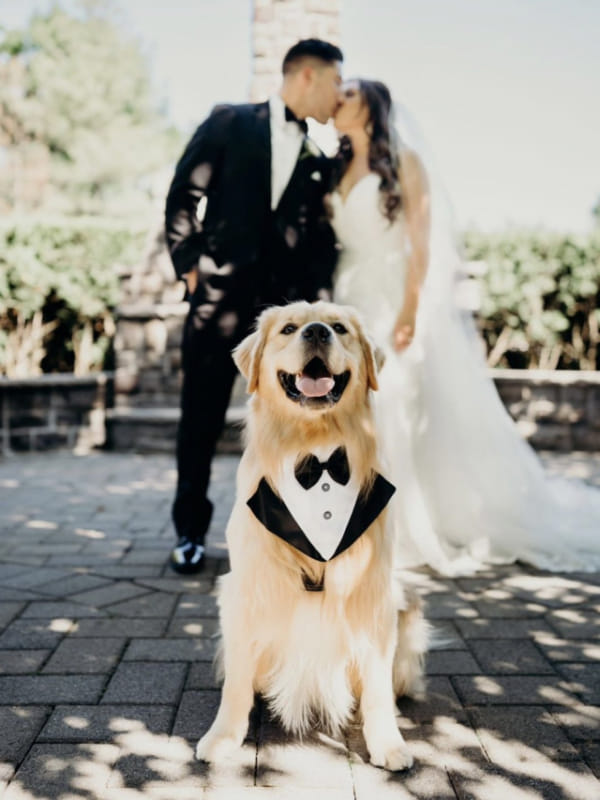 capa post: 5df489d7b0c49a4e8bf672a1d9255698