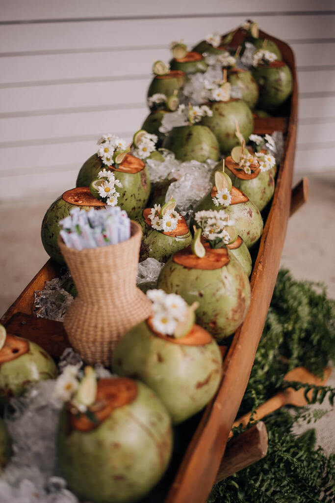 canoa d emadeiera com cocos verdes