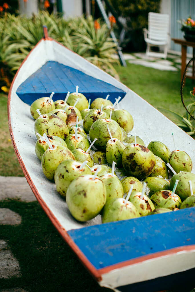 barco de maadeira decorativo com cocos verdes