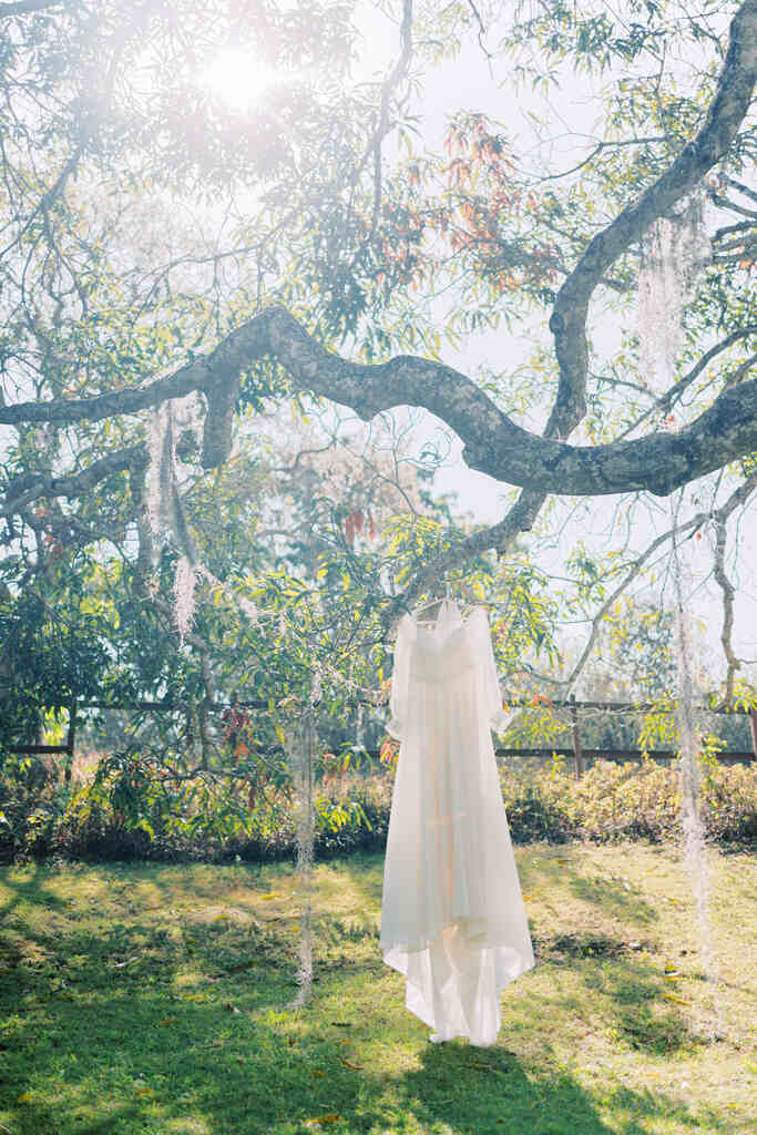 vestido de noiva pendurado na árvore no campo