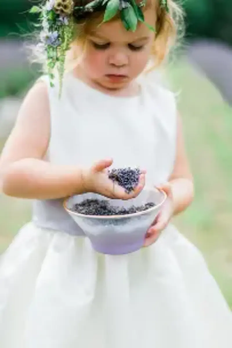 daminha com flores de lavanda