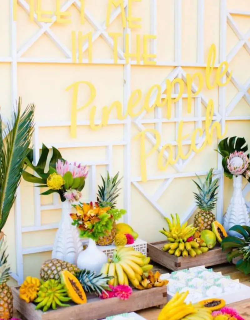 Decoração chá de panela tropical