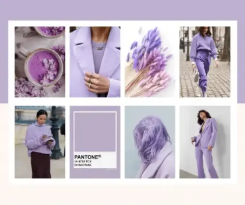moodboard lavanda