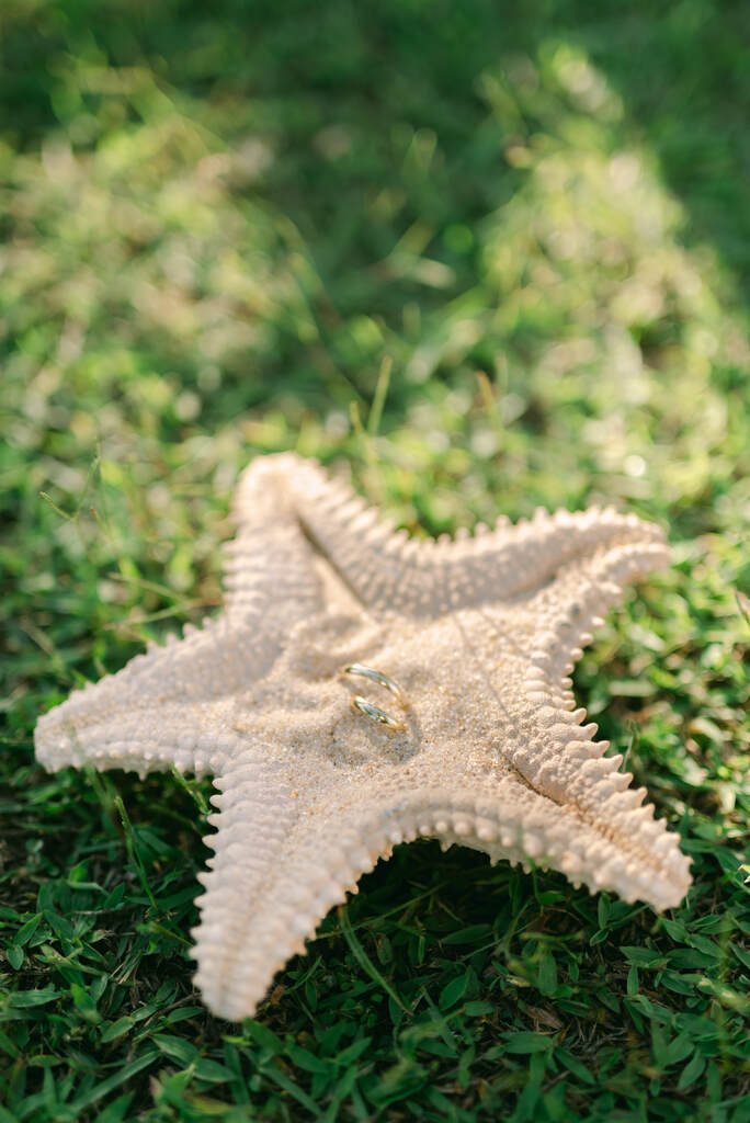 porta aliança em formato de estrela do mar com areia dentro e aliança dourada