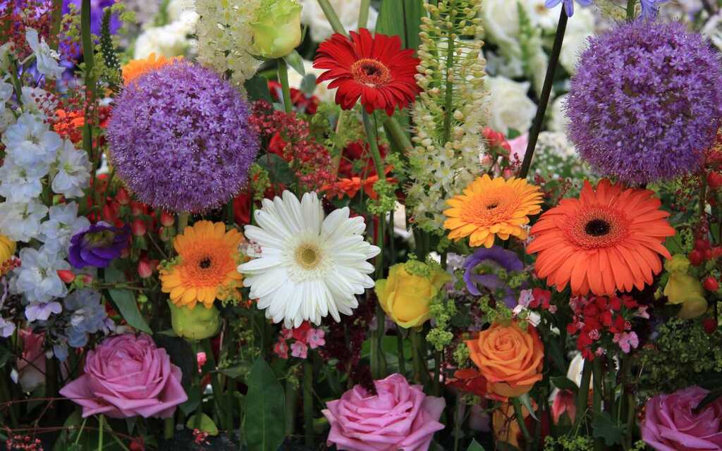 flores baratas para casamento como escolher