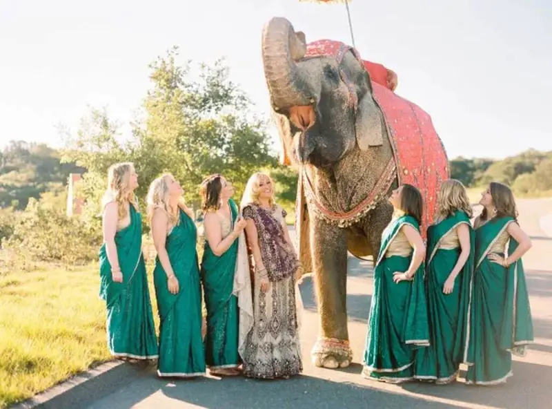 noiva e madrinhas em casamento indiano com elefante