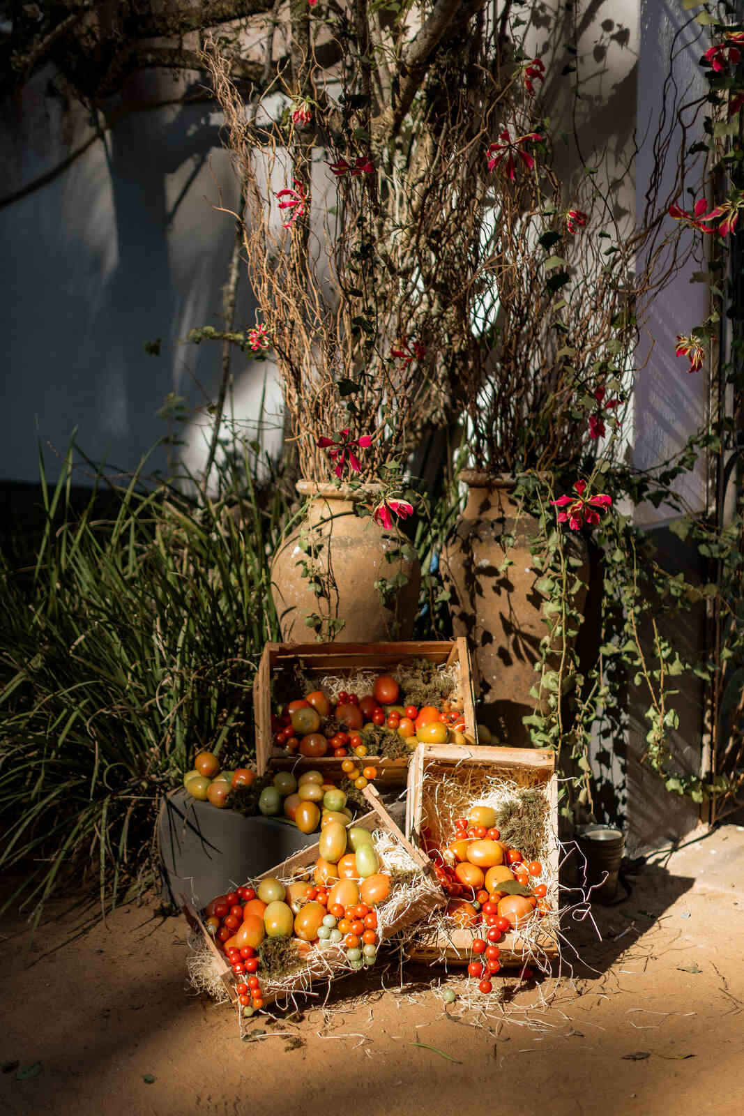 caixas com tomates para decoração de casamento rústico