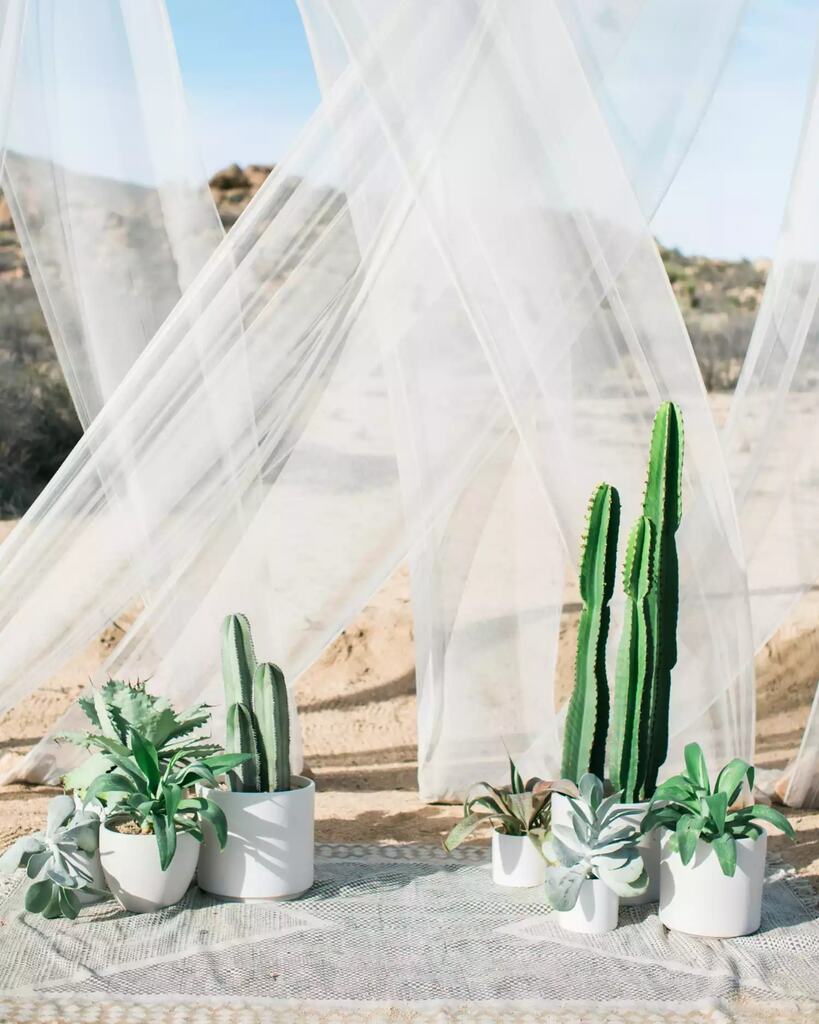 altar de casamento simples com cactos